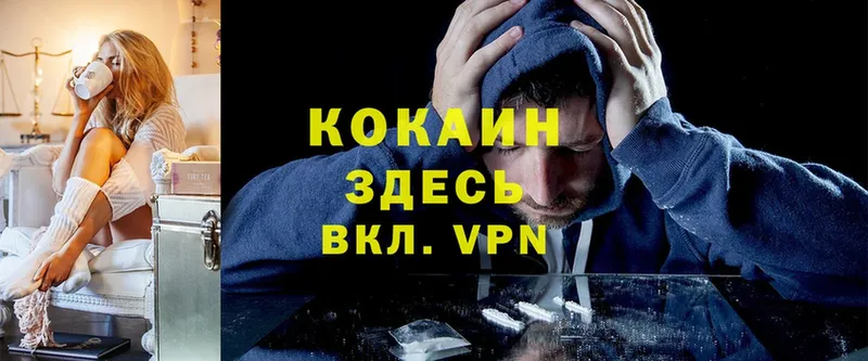 сколько стоит  Гдов  COCAIN VHQ 